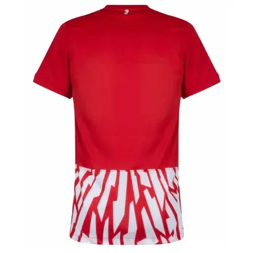 Camiseta del Freiburg I 2023/2024