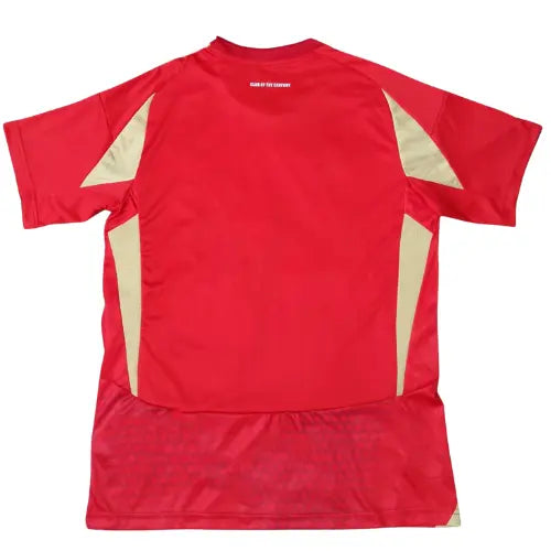 camisa al-ahly 2024, uniforme titular al-ahly, camisa vermelha egito, escudo bordado al-ahly, futebol africano, camisa torcedor al-ahly, egyptian premier league, al-ahly 2024/25, camisa masculina al-ahly

