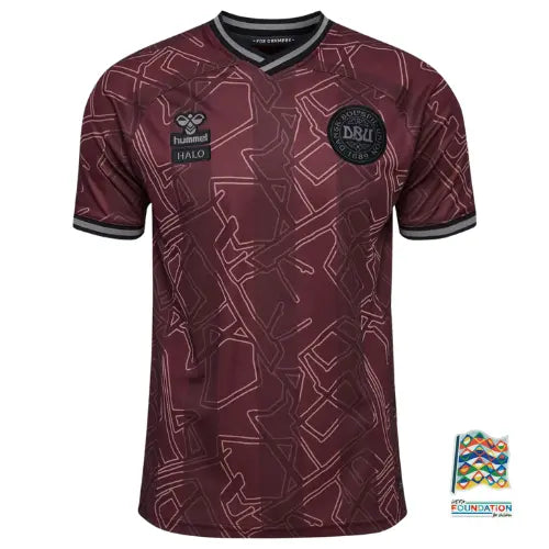 Camiseta del Edição Especial Dinamarca 2024/25