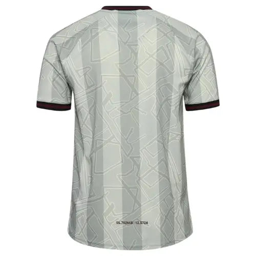 Camiseta del de Portero Dinamarca Hummel x Halo 2024/25