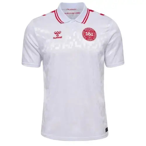 Camiseta del Dinamarca II 2024/2025