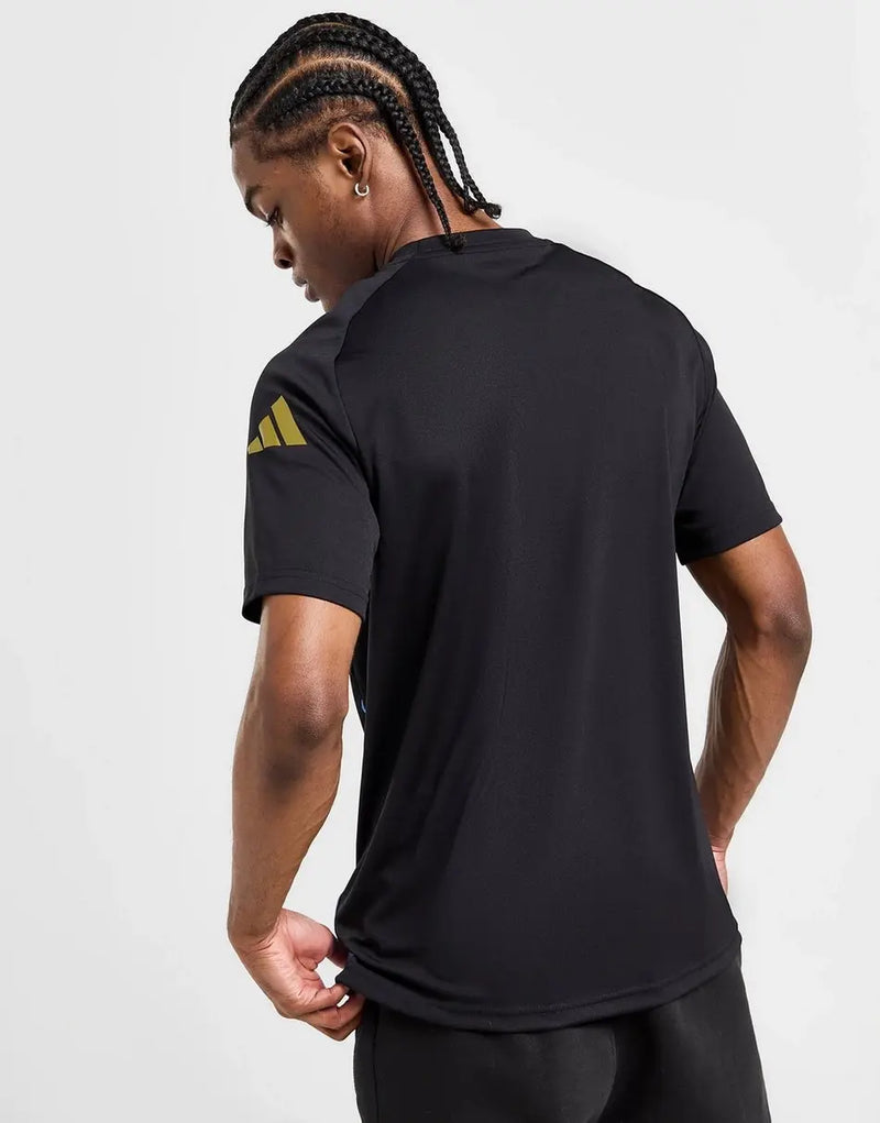 Camiseta del Pré Jogo Argentina 2024