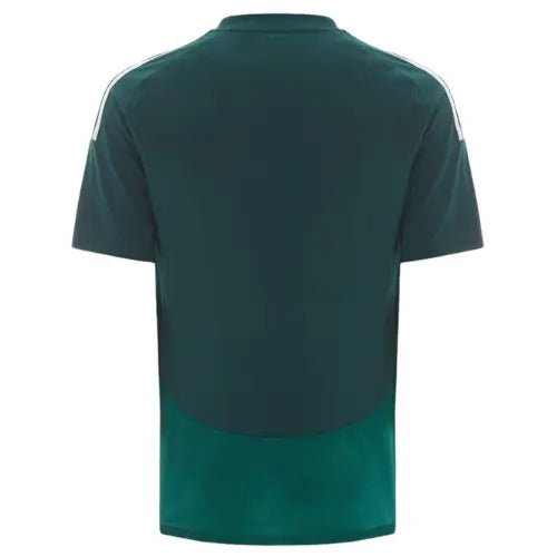 Camiseta del Al Ahli II 2024/2025